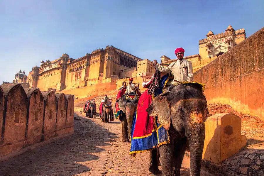 Jaipur Full Day Sightseeing Tour 1