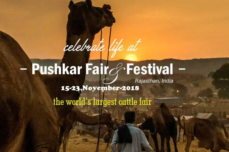 Pushakar fair