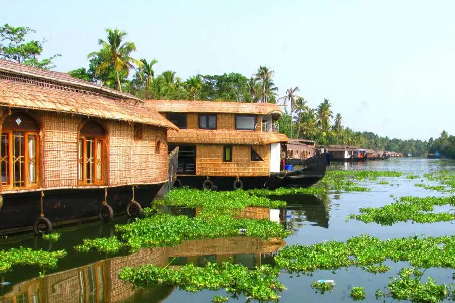 Alleppey img