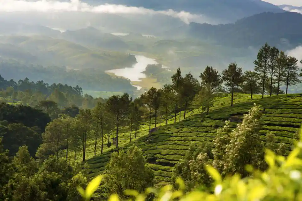 Munnar img